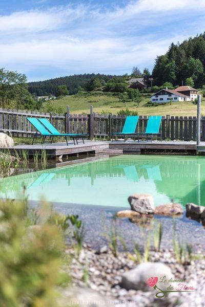 Le Domaine des Fleurs - Appartement La Gentiane Gérardmer Extérieur photo